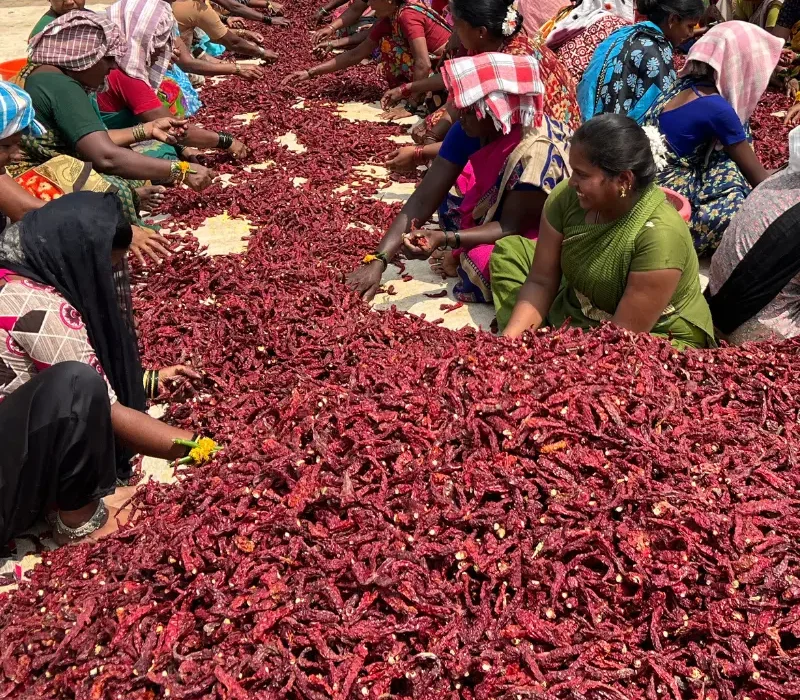 Local farmers Farmers